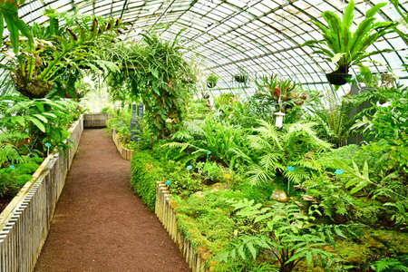 Paris; France - July 8 2021: the Auteuil greehouses garden created in 1898