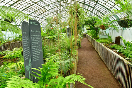 Paris; France - july 8 2021: the Auteuil greehouses garden created in 1898のeditorial素材