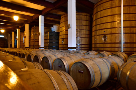 Favaios, Portugal - March 26 2022: the Adega cooperativa Favaios