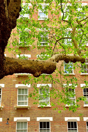 London; England - May 23 2024: the Baker's passage in the Hampstead districtのeditorial素材