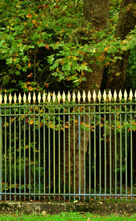 Versailles; France - October 27 2023: railings in the castle parkのeditorial素材