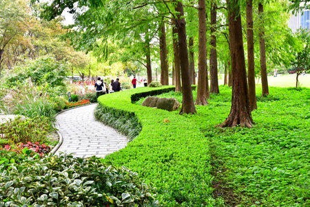 Shanghai; China - November 6 2024: a park in the Pudong district