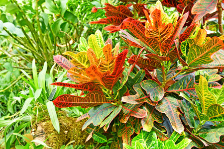London; Richmond, England - May 28 2023: the Princess of Wales Conservatory in The Kew Gardens