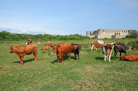 Borgholm, Sweden - June 26 2011: the picturesqueのeditorial素材