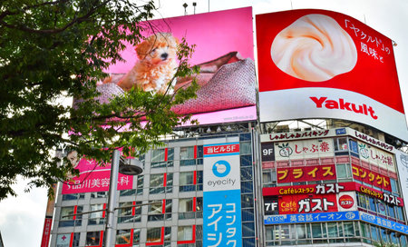 Tokyo; Japan - August 10 2024: the Shibuya districtのeditorial素材