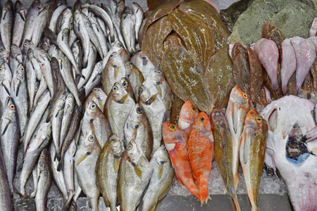Porto, Portugal - July 10 2022: fish on the market