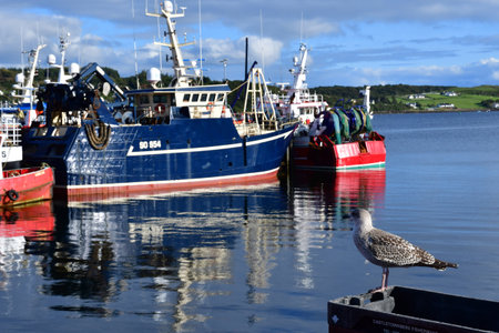 Killybegs, Ireland - September 15 2022: the fishing portのeditorial素材