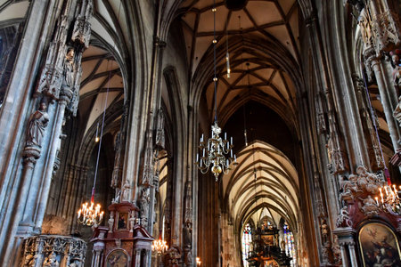 Vienna, Austria - June 24 2023: the Saint Stephen cathedralのeditorial素材