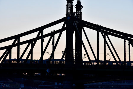 Budapest, Hungary - June 26 2023: the Liberty bridgeのeditorial素材