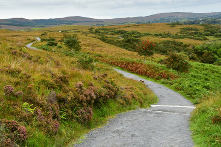 Letterfrack; Ireland - September 13 2022: the Connemara National Parkの写真素材
