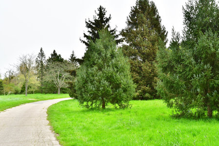 Versailles; Rocquencourt, France - April 7, 2024: Arboretum de Chevreloupのeditorial素材