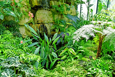 London; Richmond, England - May 28 2023: the Princess of Wales Conservatory in The Kew Gardensのeditorial素材