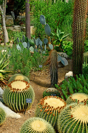 London; Richmond, England - May 28 2023: the Princess of Wales Conservatory in The Kew Gardensのeditorial素材