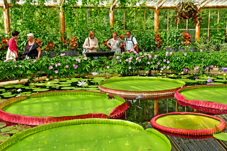 London; Richmond, England - May 28 2023: the Waterlily House in The Kew Gardensのeditorial素材