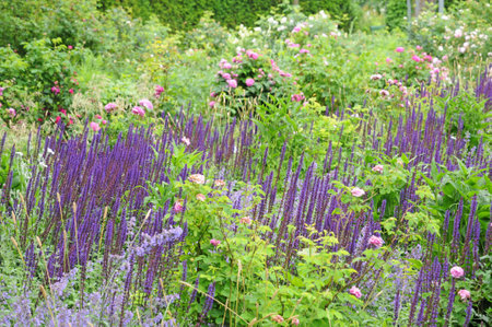 Gothenburg, Sweden - June 26 2011: the picturesque cityのeditorial素材