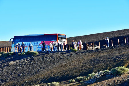 Tenerife, Canary Islands - March 15 2024: the Teide National Parkのeditorial素材