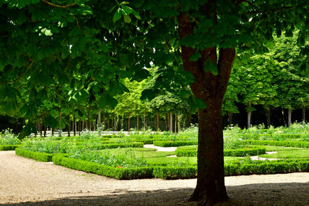 Versailles; France - June 26 2024: the Grand Trianon park in the Marie Antoinette estateのeditorial素材
