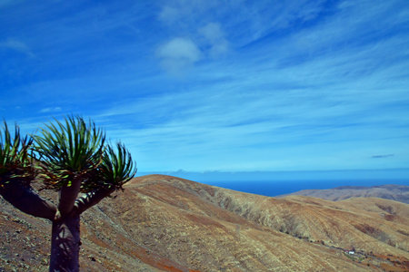 Fuerteventura, Canary Islands - March 15 2024: the picturesque islandのeditorial素材