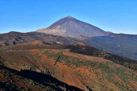 Tenerife, Canary Islands - March 15 2024: the Teide National Parkのeditorial素材
