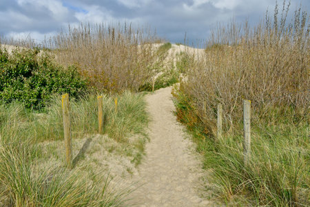 Le Touquet Paris Plage; France - April 20, 2024: the seasideのeditorial素材