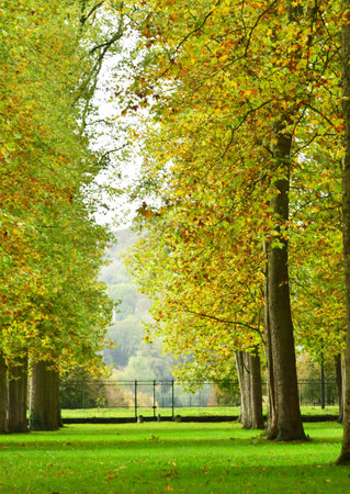 Versailles; France - October 27 2023: the castle parkのeditorial素材