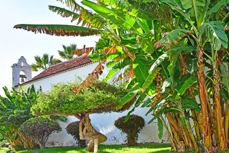 Tenerife, Canary Islands - March 15 2024: the San Telmo hermitage in Puerto de la Cruzのeditorial素材
