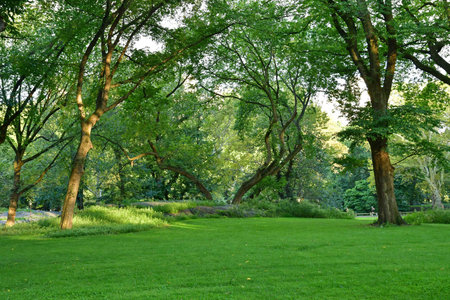 New York, USA - September 9 2023: Central Park in the Manhattan centerのeditorial素材