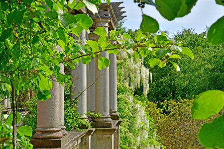 London; England - May 28 2023: Park Hill Garden and Pergola in The Hampstead districtのeditorial素材