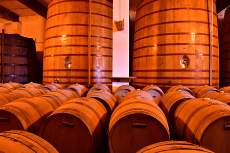 Favaios, Portugal - March 26 2022: the Adega cooperativa Favaiosのeditorial素材