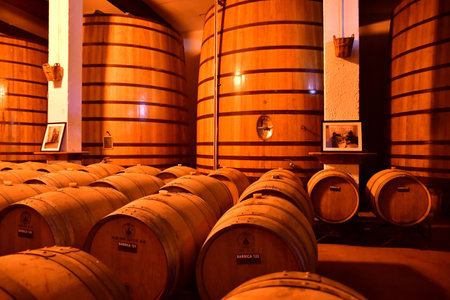 Favaios, Portugal - March 26 2022: the Adega cooperativa Favaiosのeditorial素材