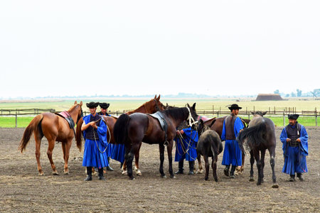 Kalocsa, Hungary - June 26 2023: horse show in the park of Kiskunsagのeditorial素材