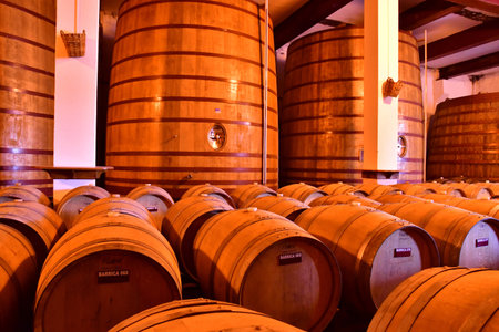 Favaios, Portugal - March 26 2022: the Adega cooperativa Favaiosのeditorial素材