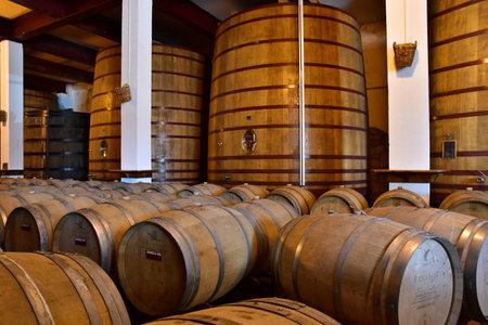 Favaios, Portugal - March 26 2022: the Adega cooperativa Favaiosのeditorial素材