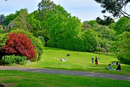 London; England - May 28 2023: Park Hill Garden and Pergola in The Hampstead districtのeditorial素材