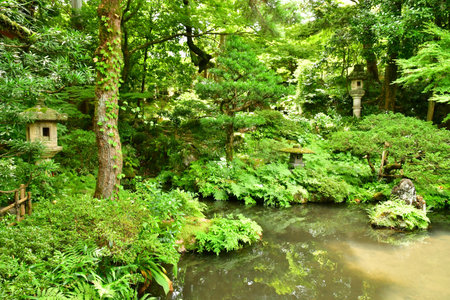 Kanazawa; Japan - August 22 2024: the Gyokusen En Gardenのeditorial素材