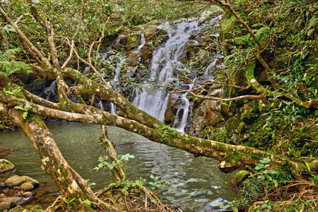 Chamouny, Republic of Mauritius - July 28 2014: the picturesque seaside cityのeditorial素材