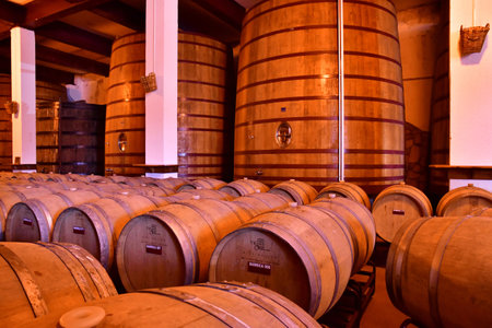 Favaios, Portugal - March 26 2022: the Adega cooperativa Favaiosのeditorial素材