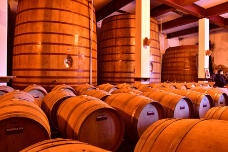 Favaios, Portugal - March 26 2022: the Adega cooperativa Favaiosのeditorial素材