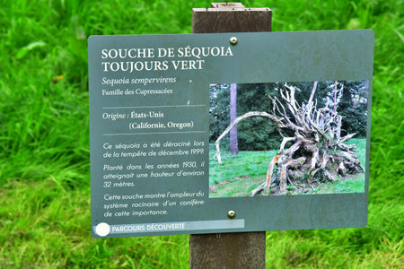 Versailles; Rocquencourt, France - April 7, 2024: Arboretum de Chevreloupのeditorial素材