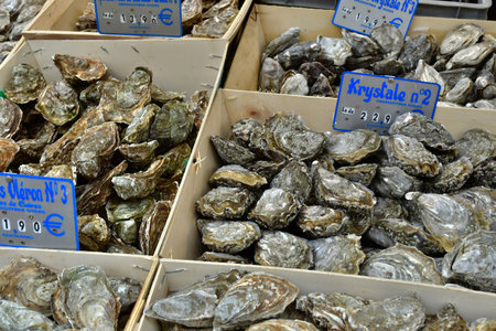 Le Touquet Paris Plage; France - April 20 2024: oysters on the Saturday marketのeditorial素材