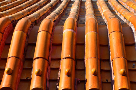 Beijingi; China - November 6 2024: close up of a roof in the Forbidden City