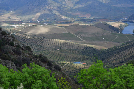 Barca d Alva, Portugal - March 25 2022: the picturesque river Douroの写真素材