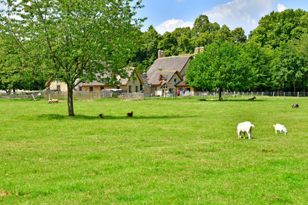 Versailles; France - June 26 2024: the farm in thatched house in the Marie Antoinette estateのeditorial素材