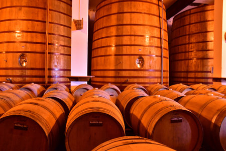 Favaios, Portugal - March 26 2022: the Adega cooperativa Favaiosのeditorial素材