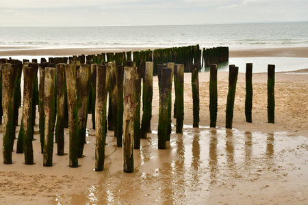 Wissant; France - May 10 2024: the seaside resort cityのeditorial素材