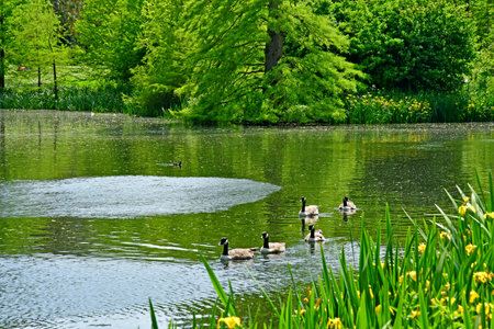 London; Richmond, England - May 28 2023: The Kew Gardensの写真素材