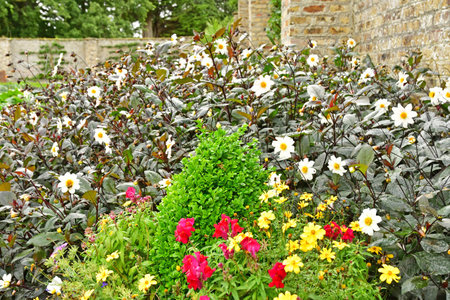 Dublin,Ireland - September 15 2022: the Victorian Kitchen Garden in the Phoenix parkの写真素材