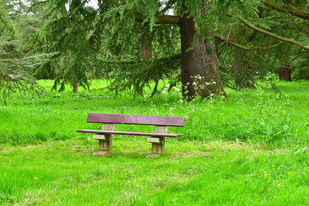 Versailles; Rocquencourt, France - April 7, 2024: Arboretum de Chevreloup