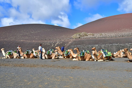 Lanzarote, Canary Islands - March 15 2024: the picturesque Los Volcanes roadのeditorial素材