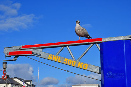 Killybegs, Ireland - September 15 2022: the fishing portのeditorial素材